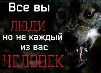 Душевные раны