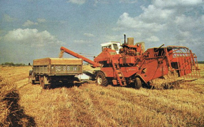Камбала. Часть 5. Судьба. Глава 3.