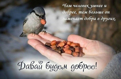 Доброта в жизни - наш удел
