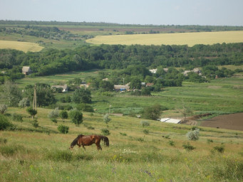 Запах сена я с детства люблю Запах сена я с детства люблю