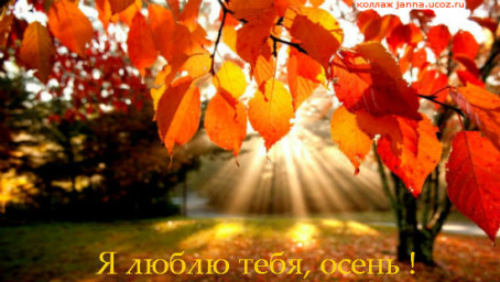 Я осень люблю