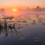 Лунная зябь по волнам разбежалась...