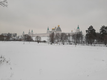 Тоскливый ноябрь