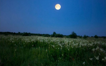 Земляничная луна