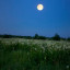 Земляничная луна