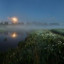 Белая ночь