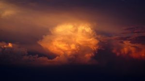 Александр Посохов "Проруха" (басня)