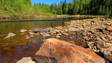 А.Посохов "Чужая власть" (басня)