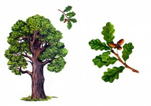 А.Посохов "Конкуренты" (басня) А.Посохов "Конкуренты" (басня)