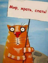 ПервоМяуй