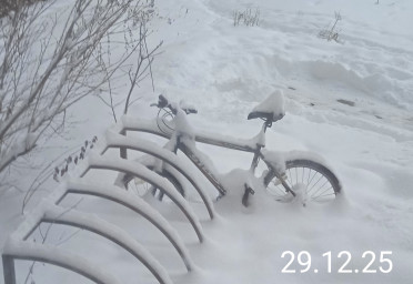 Во дворе Во дворе