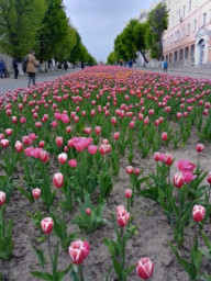 Солнечное утро