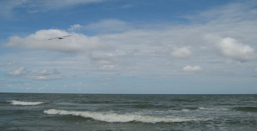 Море, чайки, свитер...