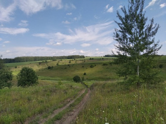 Какого цвета счастье