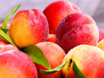 Персики (вне конкурса)