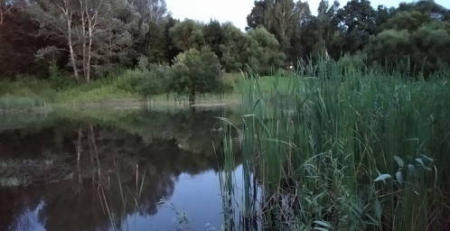 Луна по небу гуляла