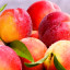 Персики (вне конкурса)