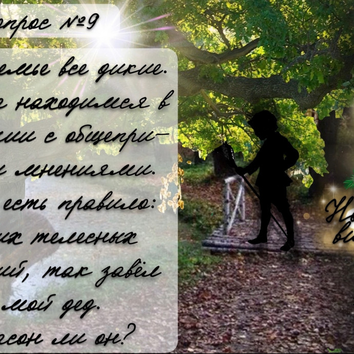 Новогодняя викторина ВОПРОС №9