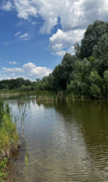 Моё лесное волшебство
