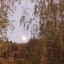 Есть извечная загадка в лунной ночи...