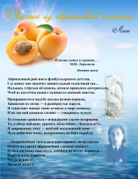 Свисток из абрикосовой косточки Свисток из абрикосовой косточки